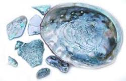ABALONE GEMSTONE Healing properties