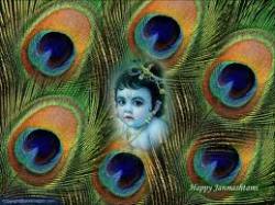Krishna janmashtami festival is celebrated in which month of the year